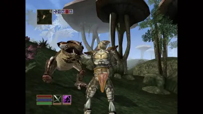 The Elder Scrolls III: Morrowind — скриншот 6