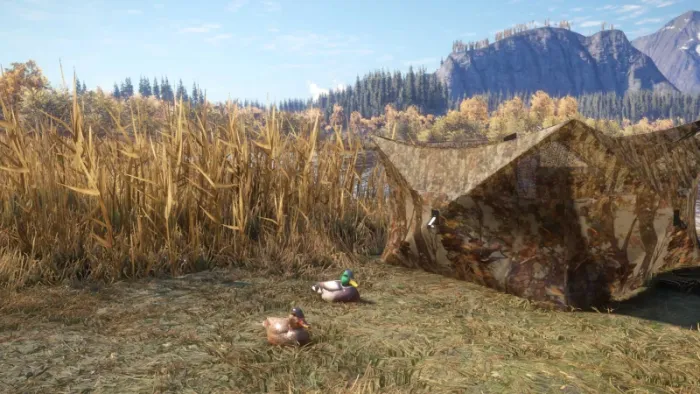 theHunter™: Call of the Wild - Duck and Cover Pack — скриншот 3