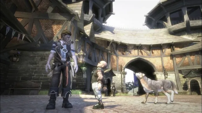 Fable II — скриншот 3