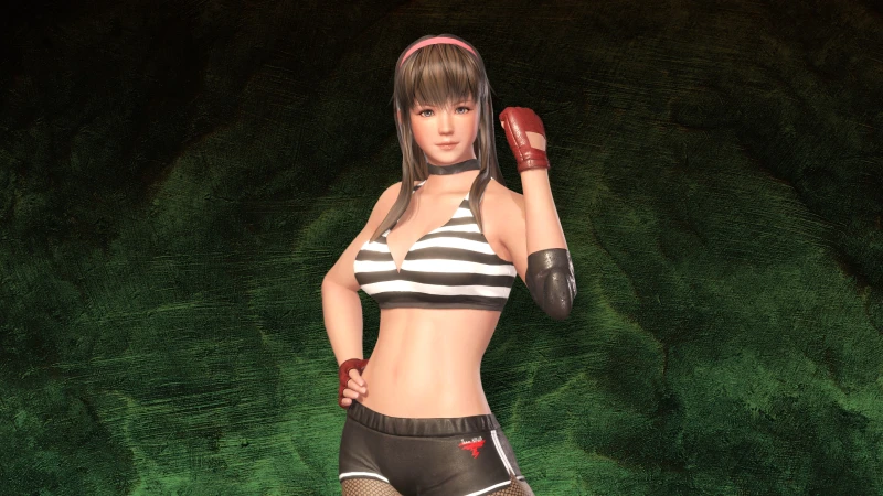 DOA6 Deluxe Costume - Hitomi