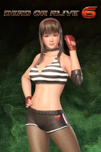 DOA6 Deluxe Costume - Hitomi