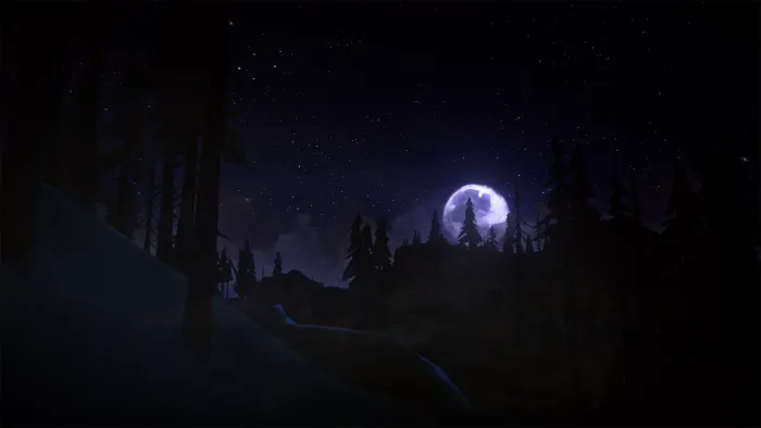 The Long Dark — скриншот 9
