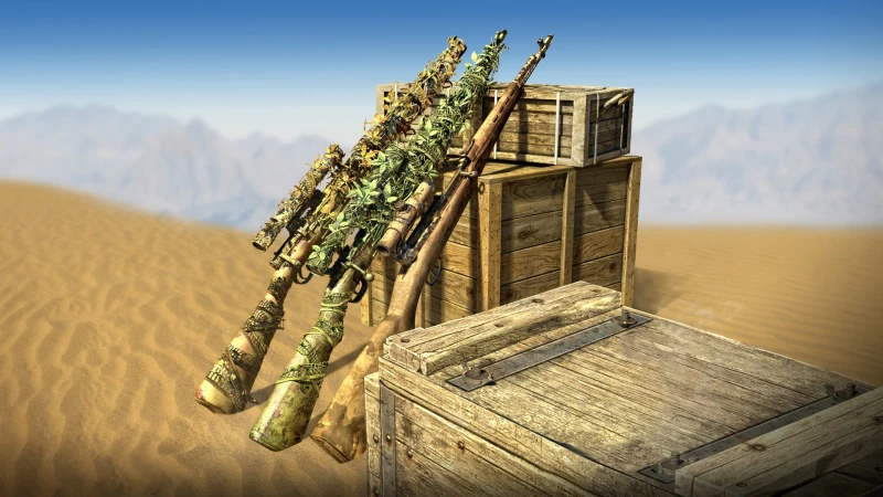International Camouflage Rifles Pack