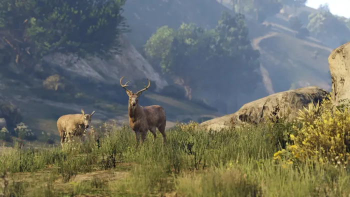 Комплект «Grand Theft Auto V: Premium Edition и платежная карта «Белая акула» — скриншот 9
