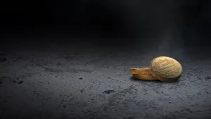 Tom Clancy’s The Division – Комплект премиальных кредитов: 500